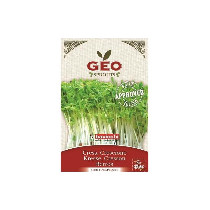 Organic Cress seeds for Sprouts