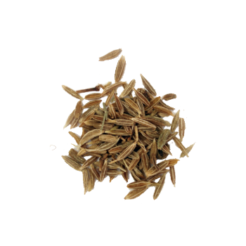 cumin1.png