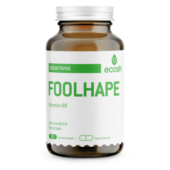 foolhape-transparent-1024x1024.png