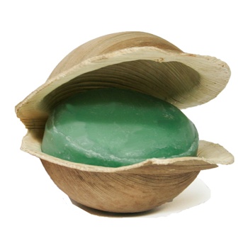 Neem-Soap-in-Shell.jpg