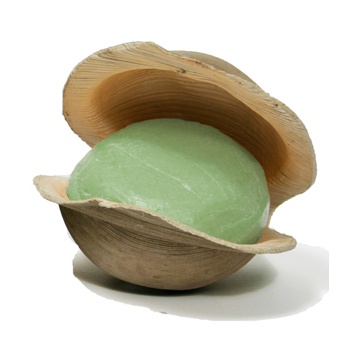 Vetiver-Soap-in-Shell.jpg