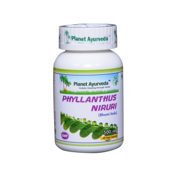 planet-ayurveda-phyllanthus-niruri-60tk.jpg