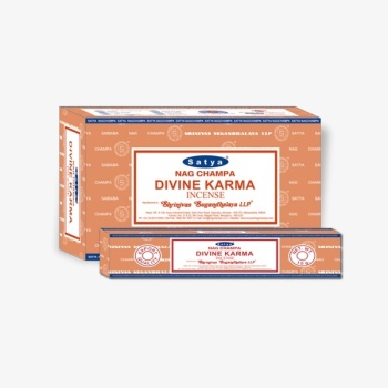 DIVINE-KARMA-1.jpg