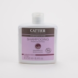 Cattier Šampoon bambuseekstraktiga kuivadele juustele 250ml