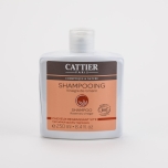 Cattier Šampoon rosmariiniga rasustele juustele 250ml