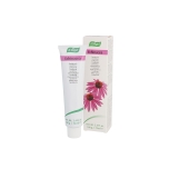 A.Vogel Echinacea Toothpaste 100g 