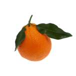 Mõru apelsin eeterlik õli 10ml