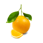 Magus apelsin eeterlik õli 10ml