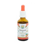 Ashwagandha tinktuur 50ml