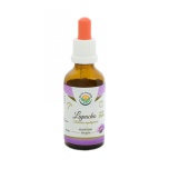 Sipelgapuu koore ehk Pau D`Arco tinktuur 50ml