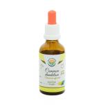  Common Dandelion Tincture, 50ml