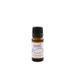 Sweet Orange Essential Oil 10ml