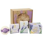 Gift Box Lavender