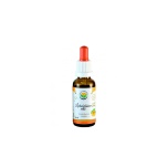 Salvia Paradise Alkoholivaba lagritsajuure tinktuur 50ml