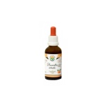 Salvia Paradise Alkoholivaba viiruki tinktuur 50ml
