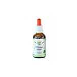 Salvia Paradise Karulaugu alkoholivaba tinktuur 50ml