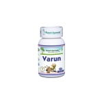 Planet Ayurveda Varun N60