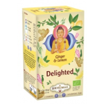 Shoti Maa Vision organic herbal tea 16x2g  (32g)