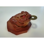 Feng shui frog with lucky coin
