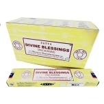Satya Divine Blessings 15g